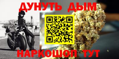 сатива Шебекино