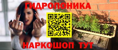 сатива Шебекино