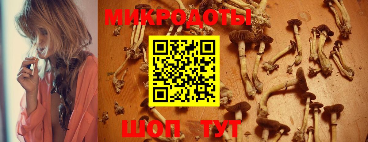Галлюциногенные грибы прущие грибы Кохма
